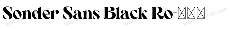 Sonder Sans Black Ro字体转换 Sonder Sans Black Ro字体转换